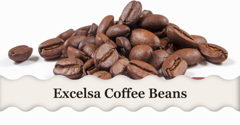 Excelsa Coffee Beans