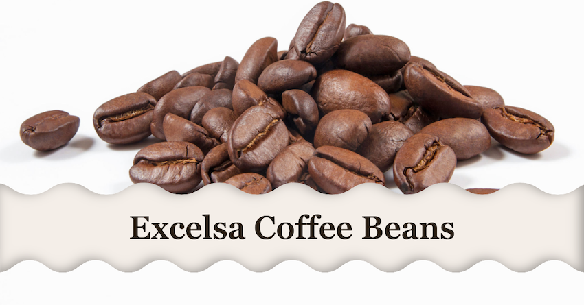 Excelsa Coffee Beans