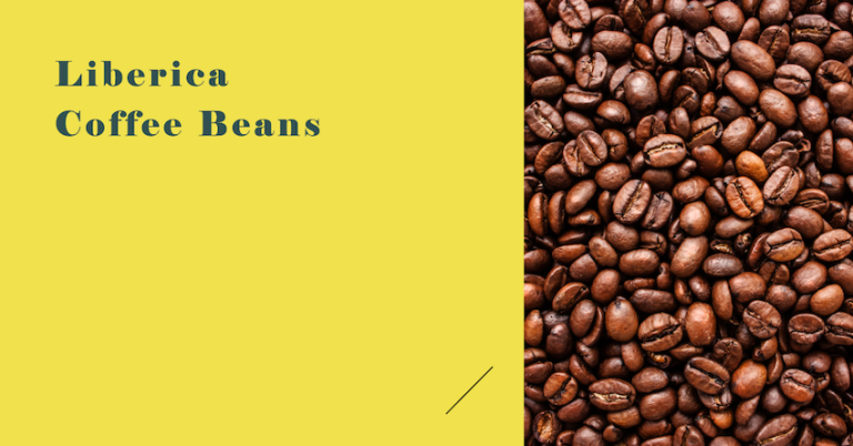 Liberica Coffee Beans