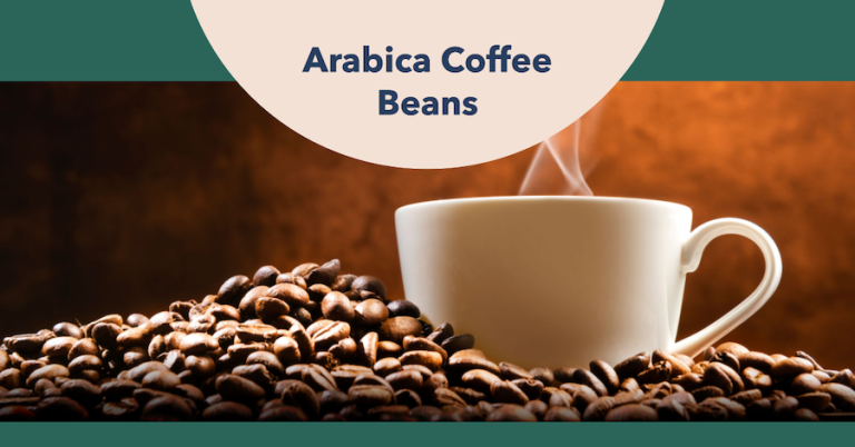 arabica coffee beans