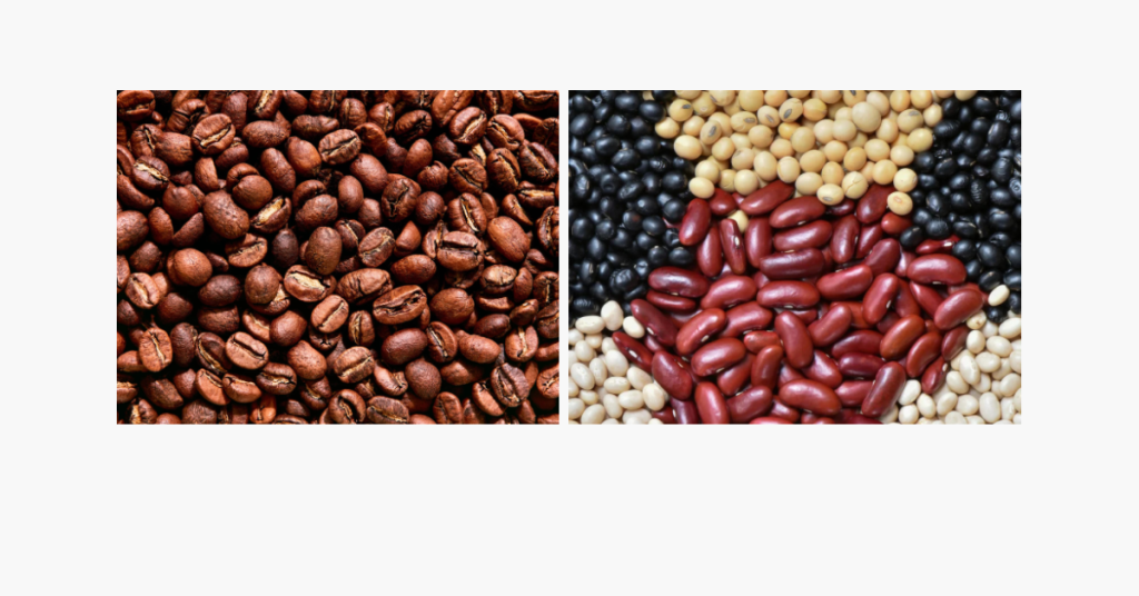 are coffee beans legumes
