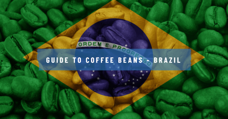 brazil coffee beans