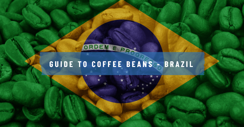 brazil coffee beans