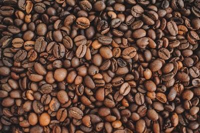coffee beans india