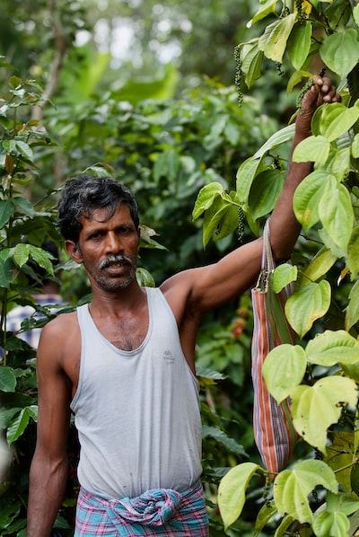 indian coffee farmer