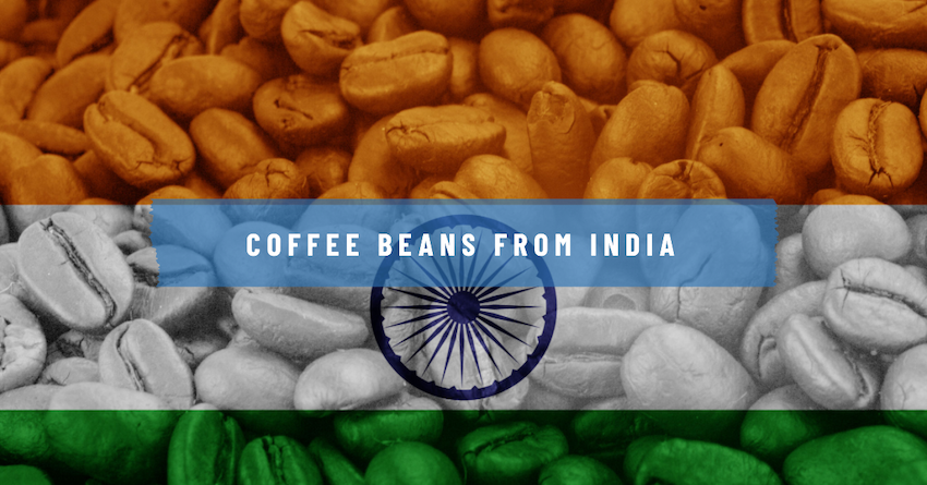 india coffee beans